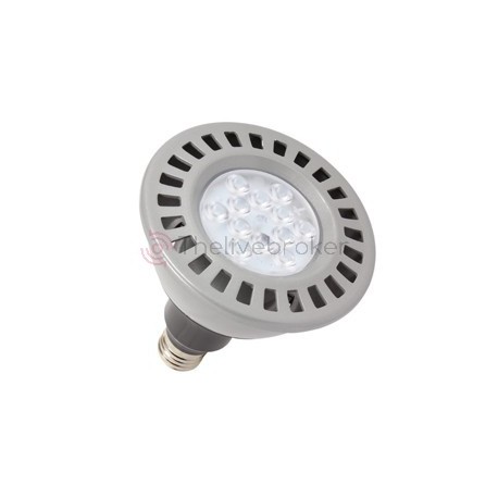 Lampe PAR38 LED 14,5W 